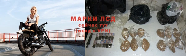 амф Верея