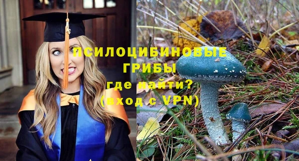 гашик Верхнеуральск