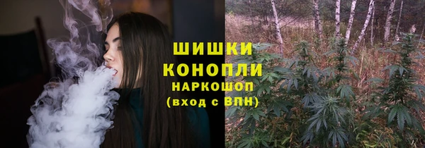 амф Верея