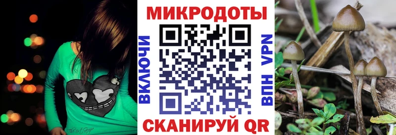 Псилоцибиновые грибы мицелий где купить наркотик Кисловодск
